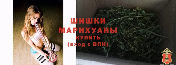 бошки Богородицк