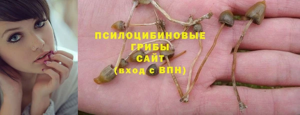 бошки Богородицк