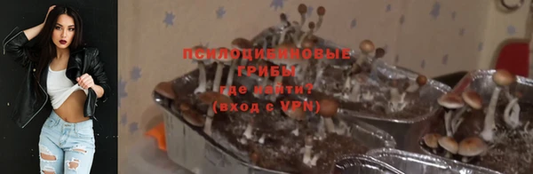 бошки Богородицк