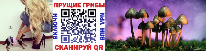 Псилоцибиновые грибы прущие грибы  Острогожск 